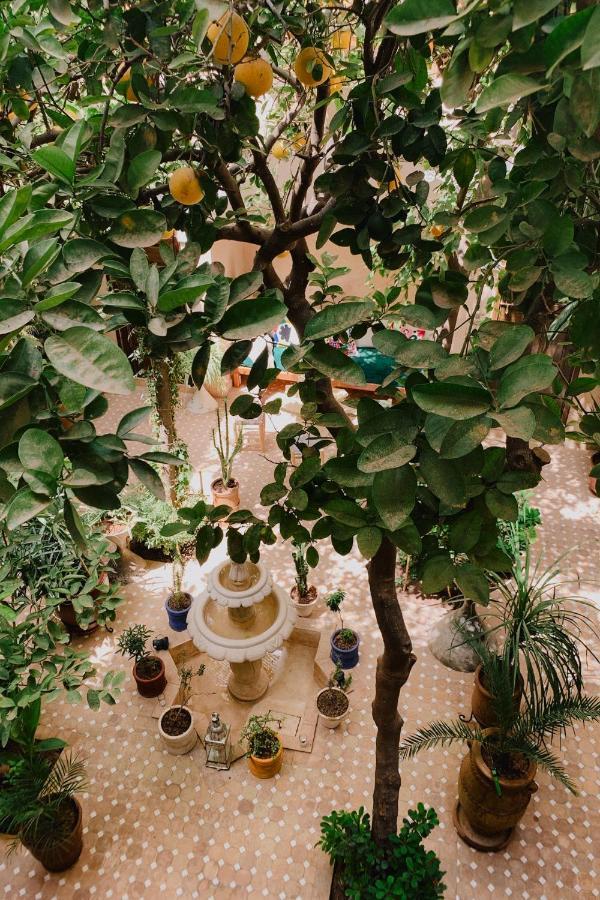 מרקש Riad Maison 24 מראה חיצוני תמונה